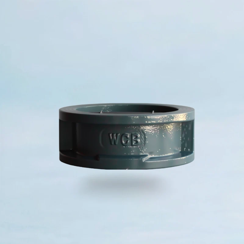 Butterfly Check Valve Supplier