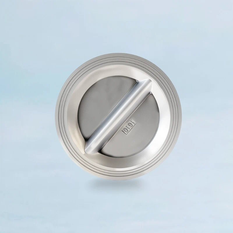 SS Wafer Check Valve