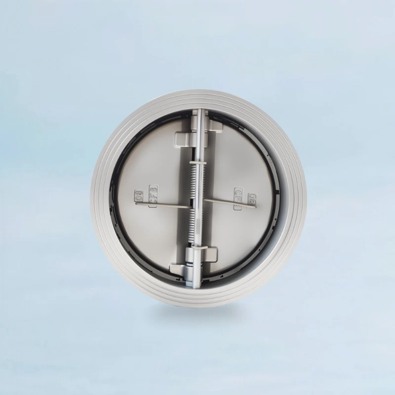 Wafer Check Valve Manufacturer China
