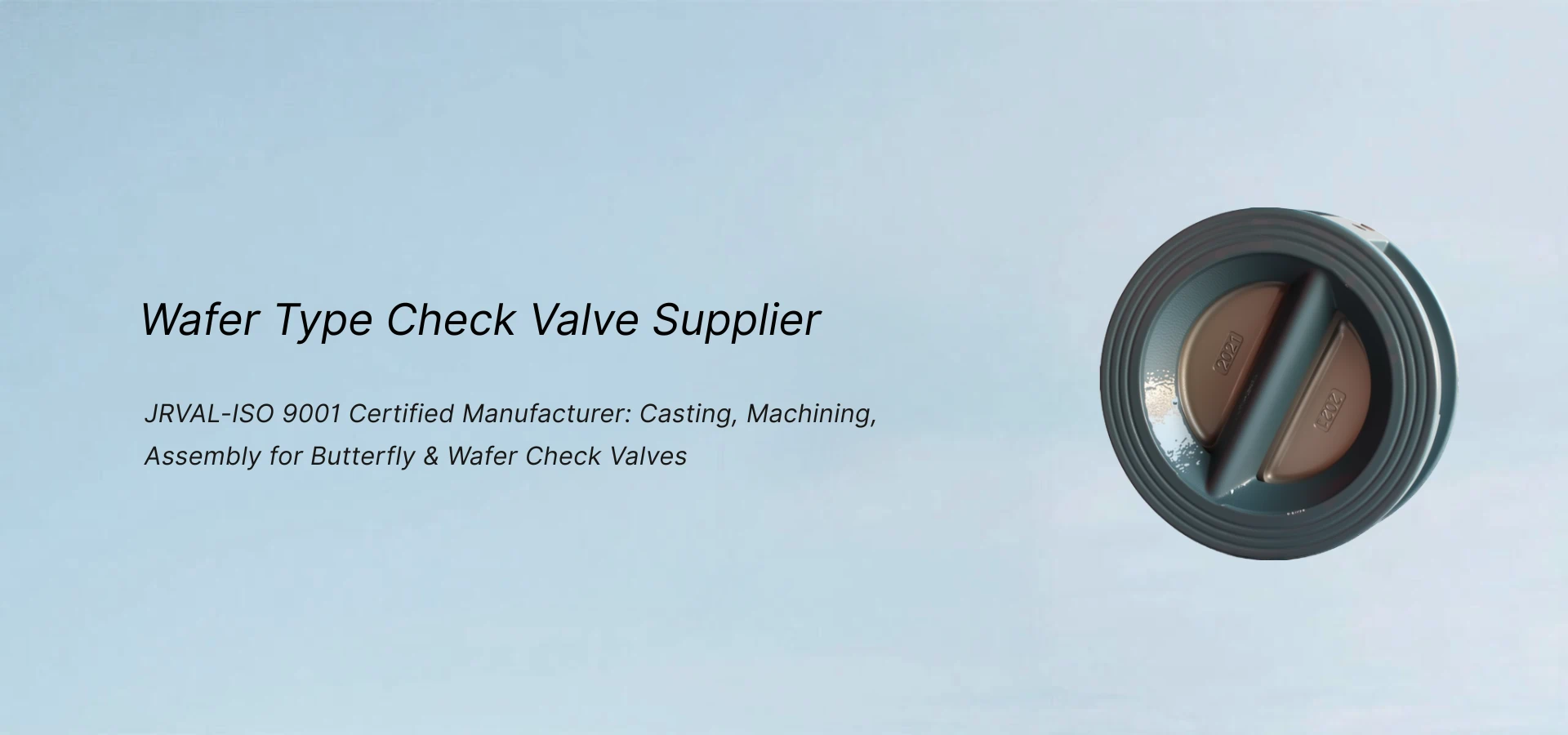 Wafer Check Valve