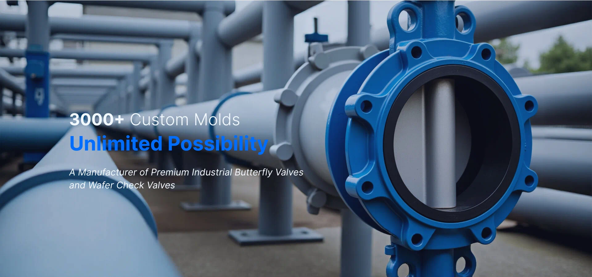 ISO Butterfly Valve