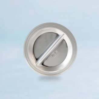 A stainless steel wafer check valve next to a butterfly valve.