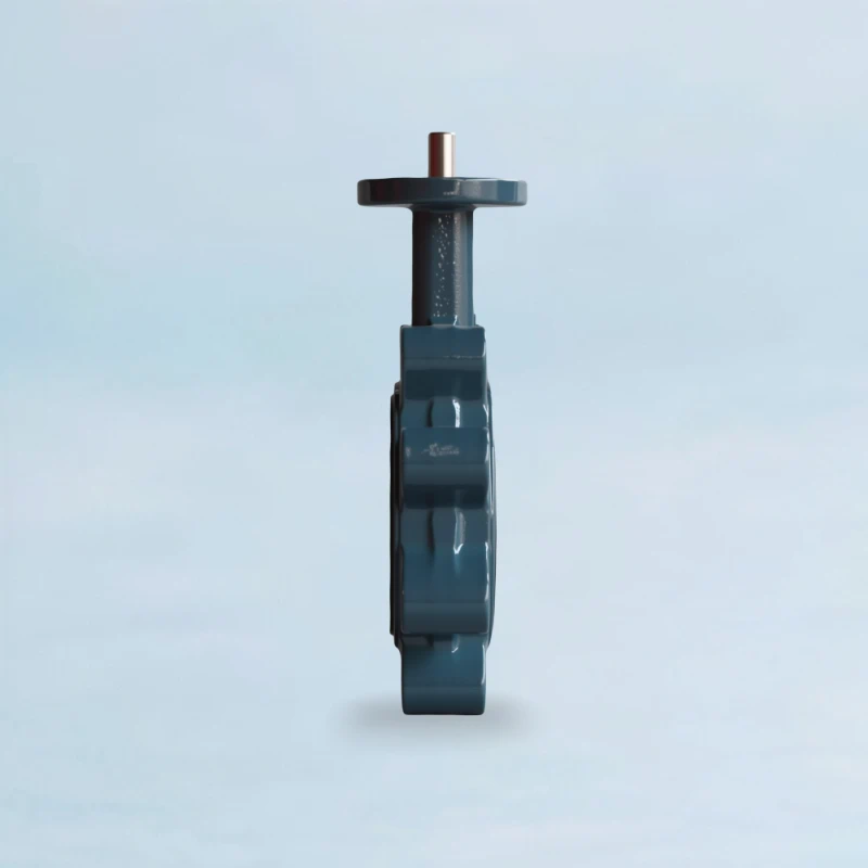 AWWA Butterfly Valve