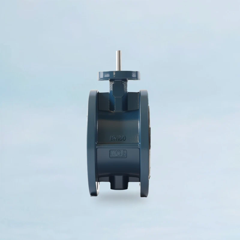 Double Flanged Short Pattern Butterfly Valve