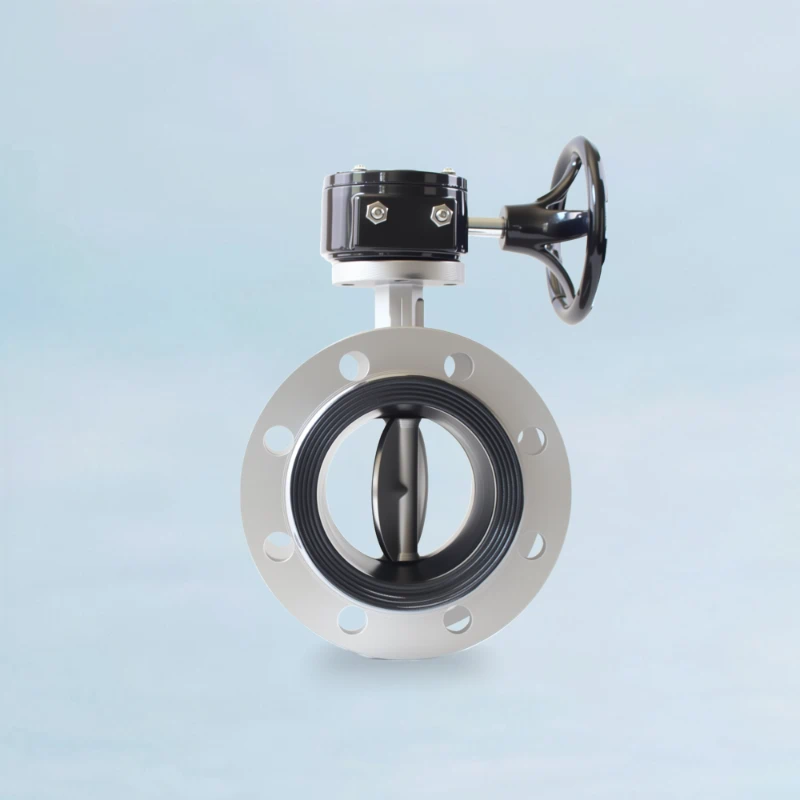 Stainless Steel Flanged Butterfly Valve - Worm Gear