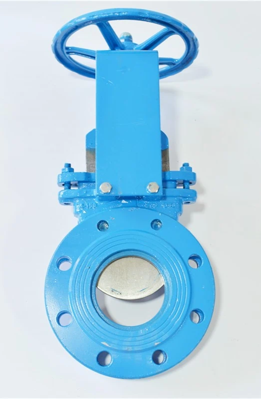 Heavy-duty valve in a sludge processing facility