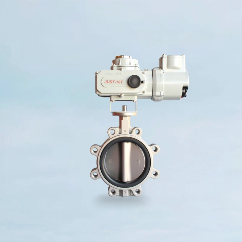 A stainless steel lug type butterfly valve