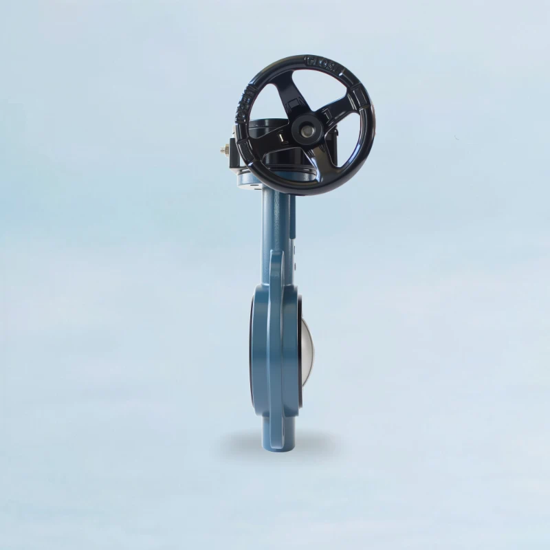 China Concentric Butterfly Valve