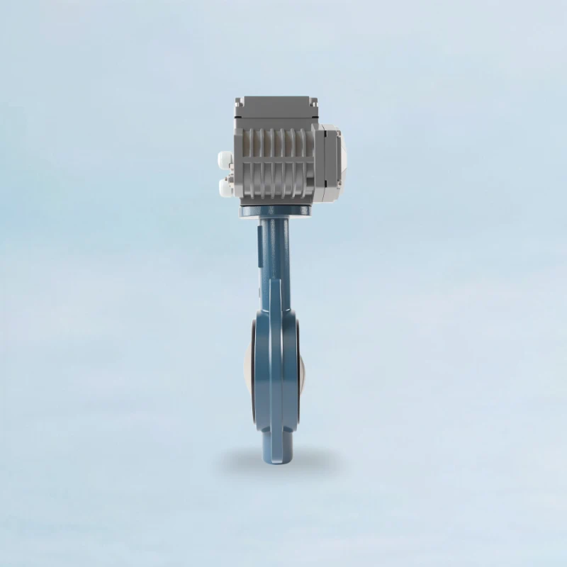 API 609 Butterfly Valve
