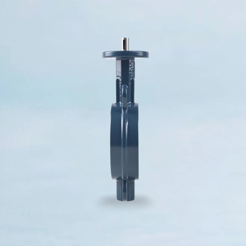 China Concentric Butterfly Valve