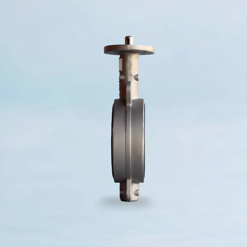 ASME Butterfly Valve