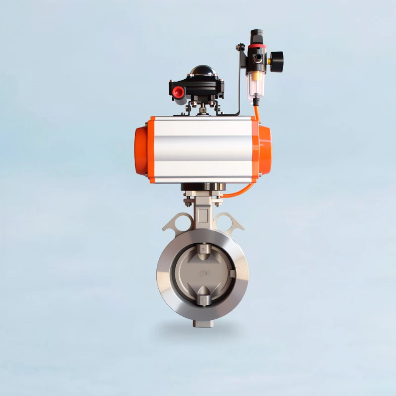 Double Eccentric Valve