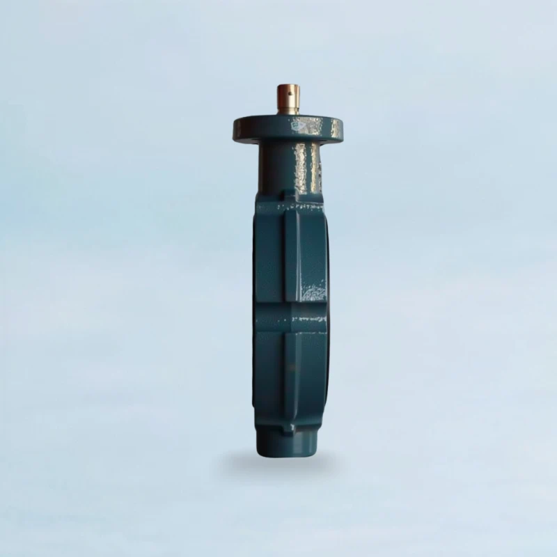 GGG40 Butterfly Valve
