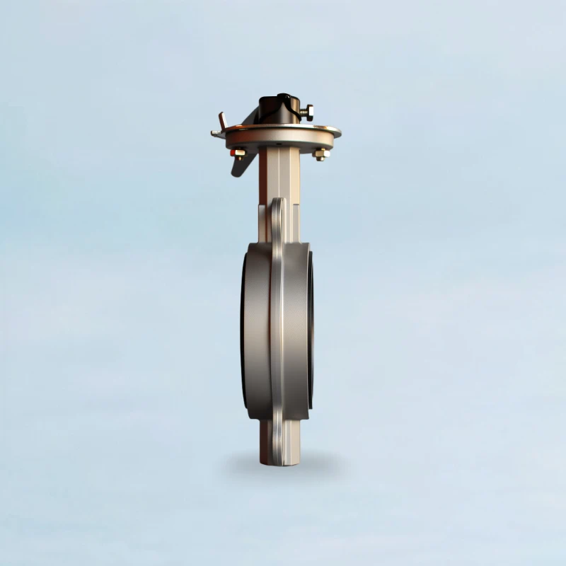 Stainless Steel Manual Butterfly Valve