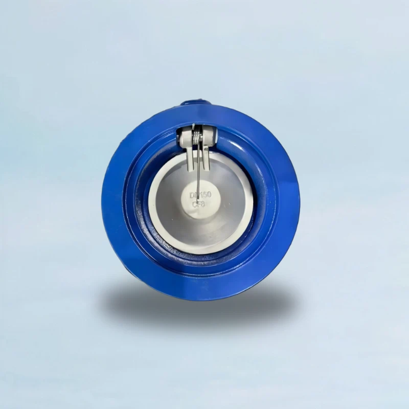 WCB Wafer Swing Check Valve