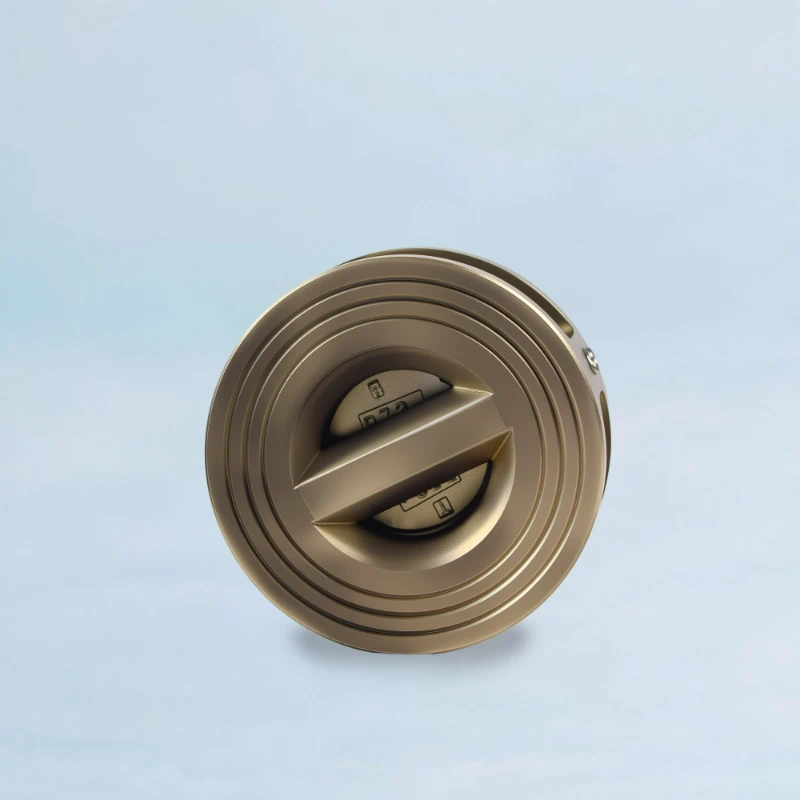 Aluminum Bronze Dual Plate Wafer Check Valve