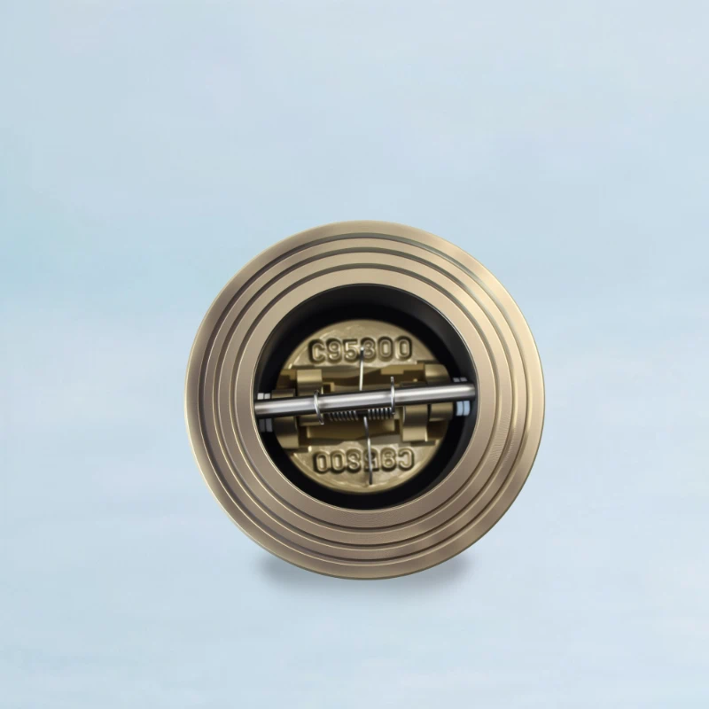 Wafer Type NRV Valve