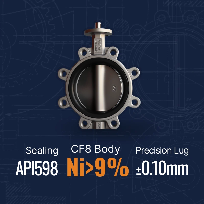 Lug Butterfly Valve Duplex