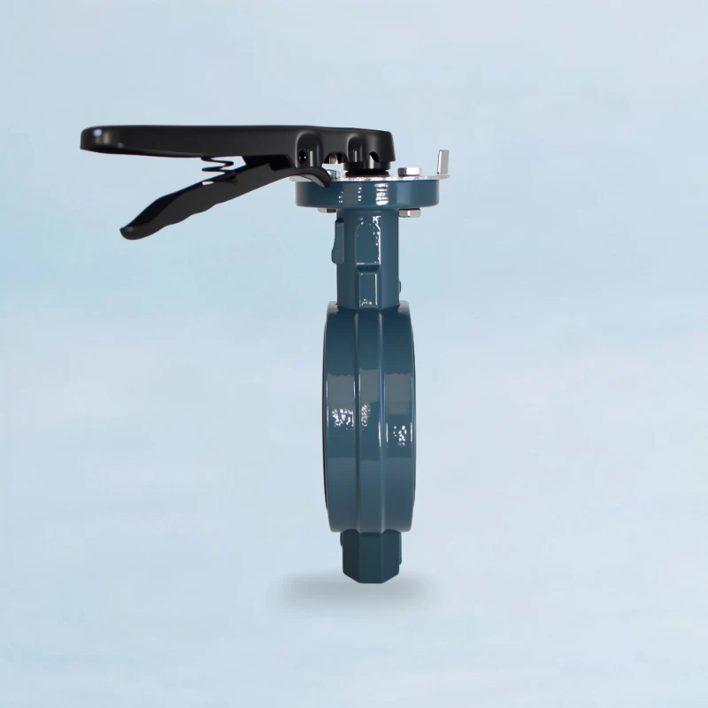 PN25 Butterfly Valve