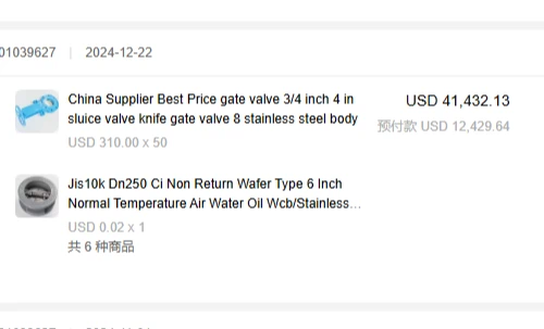 How Can Knife Gate Valves Handle Negative Pressure Without Leaking?