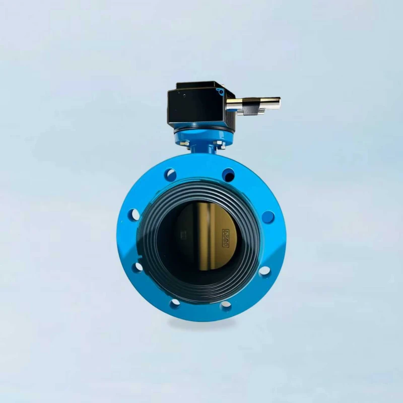 Ductile Iron Flanged Butterfly Valve - Worm Gear